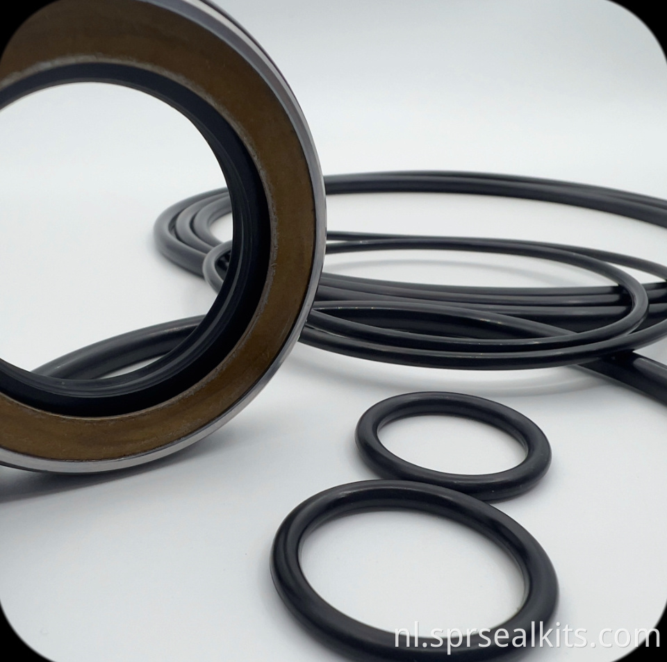 66 Reparatiepakket voor zwaaimotorafdichting 66 Swing Motor Seal Repair Kit